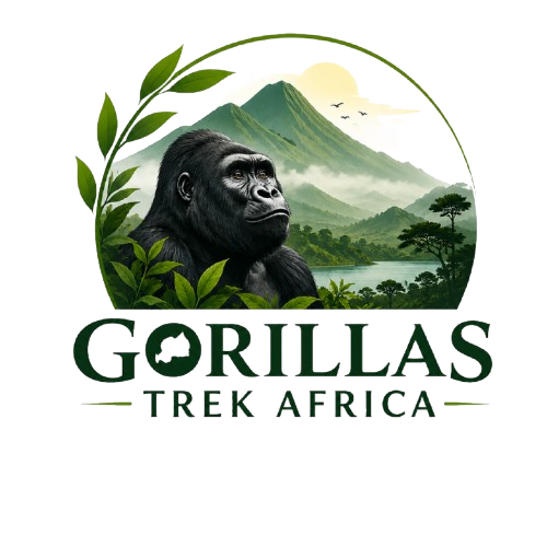 Gorillas Trek Africa
