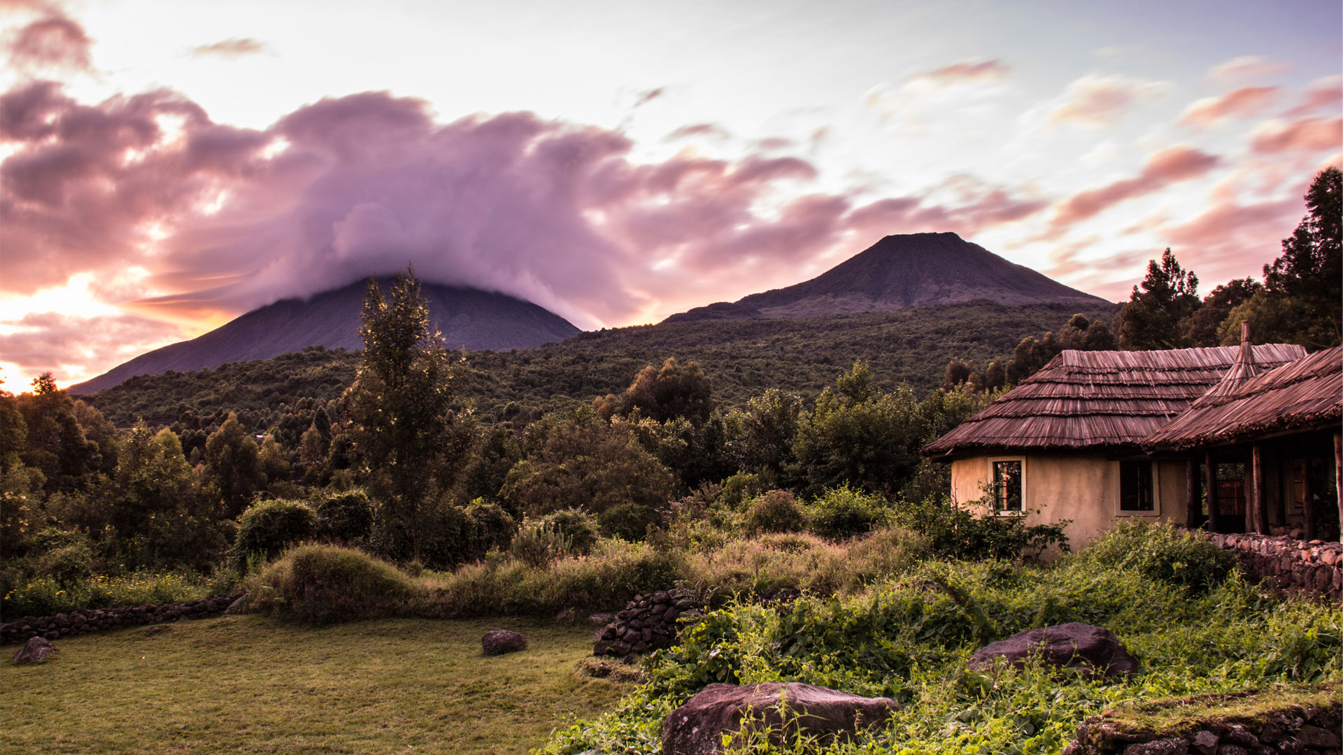 Gorilla & Chimp Trekking Packing List: What to Bring