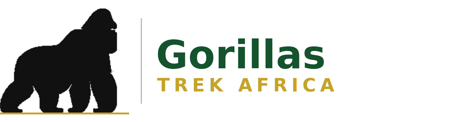 Gorilla Trek Africa